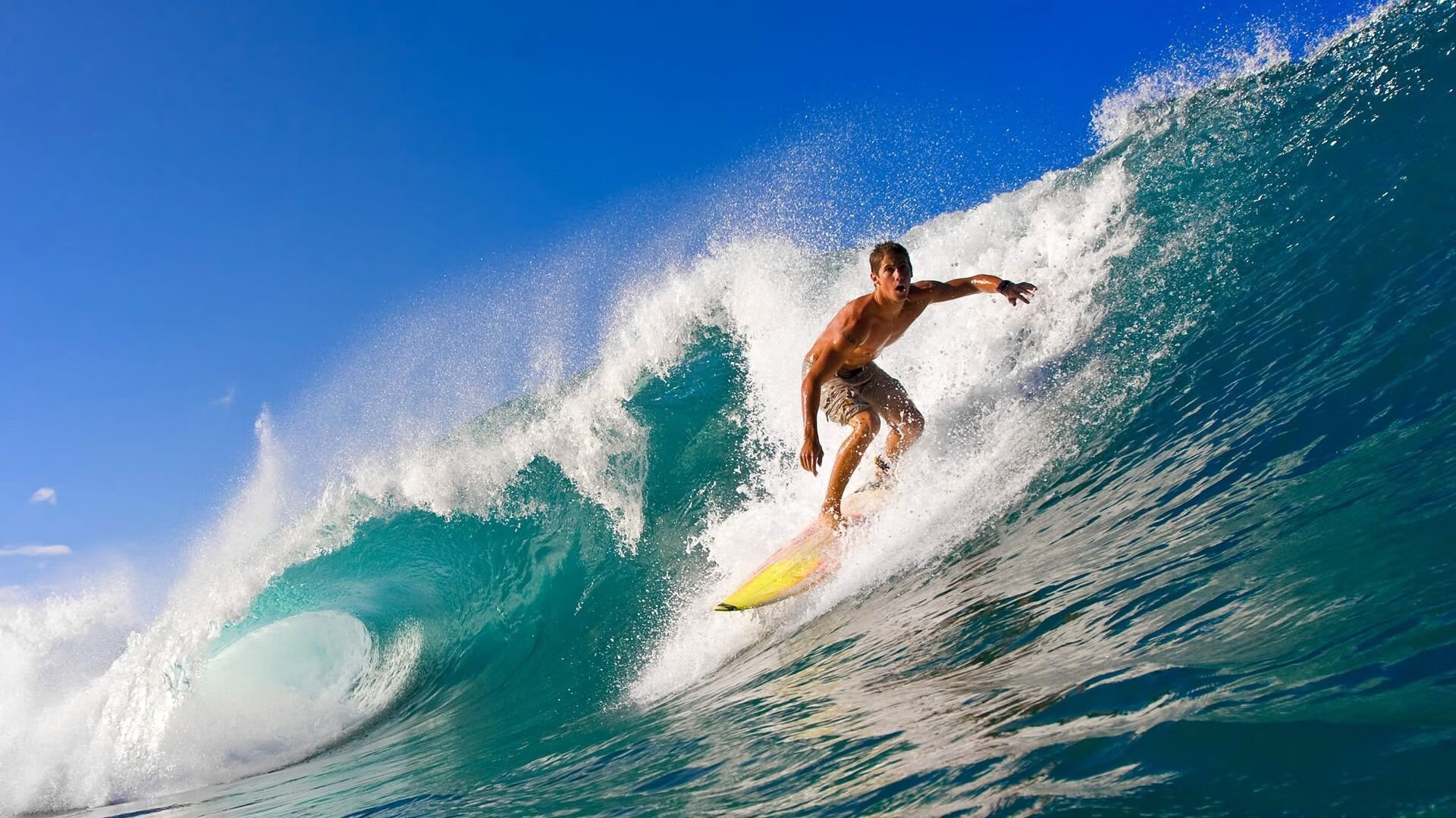 体育组织伦理规范与执行机制分析，体育伦理本体研究